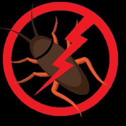 Pest Control Cost For Roaches Plano state'txt