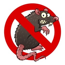 Pest Control For Rodents Stafford state'txt