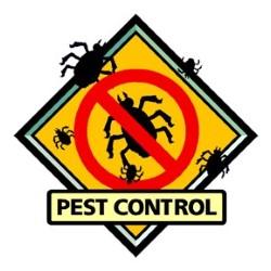 Pest Control For Roaches Hondo state'txt
