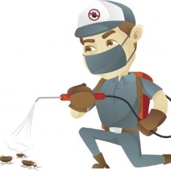 Pest Control Price Alvarado state'txt