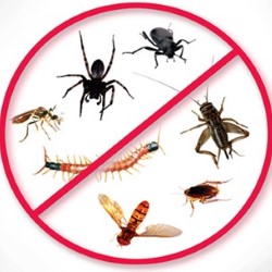 Natural Pest Control Lancaster state'txt