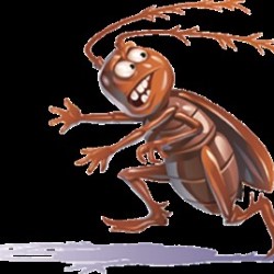 Pest Control For Roaches Lufkin state'txt