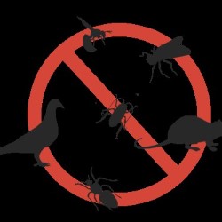 Pest Control For Voles Kemp state'txt