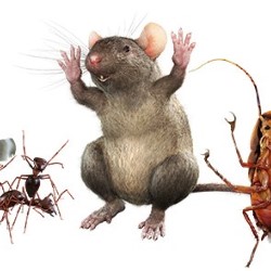 Exterminators Roanoke state'txt