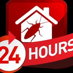 Pest Control Inspection Port Isabel state'txt