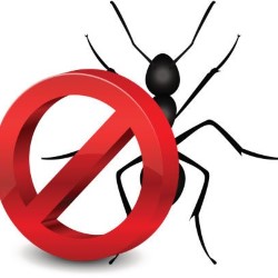 Pest Control Ants Crosby state'txt