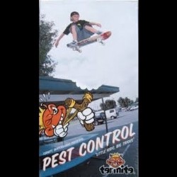 Pest Control Fleas Del Valle state'txt