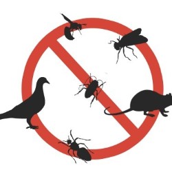 Pest Control Without Poison Kaufman state'txt