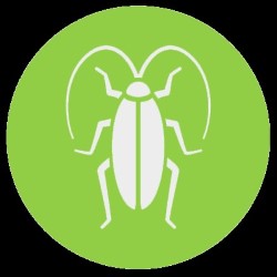 Pest Control To Get Rid Of Mice Hondo state'txt