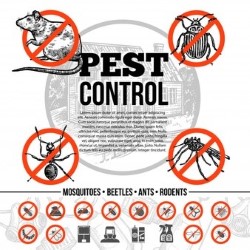 Home Pest Control Cypress state'txt
