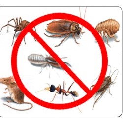 Pest Control Without Smell Baytown state'txt