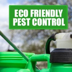 Pest Control Technician Brownwood state'txt