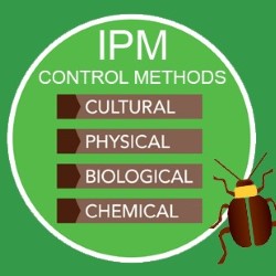Pest Control Without Poison Silsbee state'txt