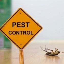 Pest Control Voles Sealy state'txt