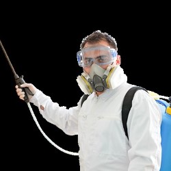 Quarterly Pest Control Denton state'txt