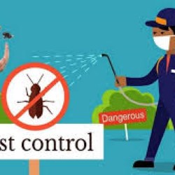 Pest Management Corsicana state'txt