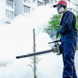 Pest Control Pampa state'txt