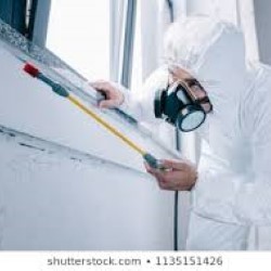 Fumigation And Pest Control Texas