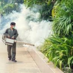 Commercial Pest Control Graham state'txt