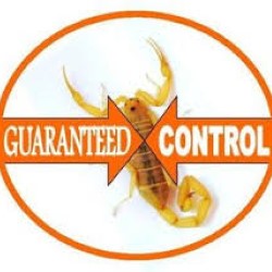 Pest Control Without Smell Pasadena state'txt