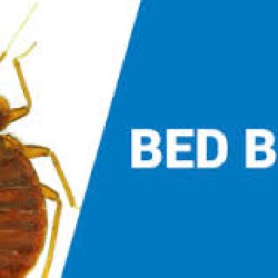 Commercial Pest Control Deer Park state'txt
