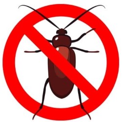 Pest Control For Roaches Hempstead state'txt
